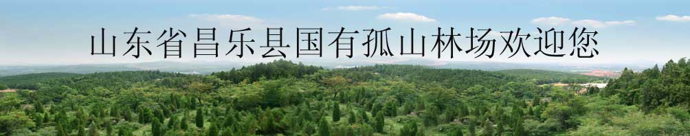 ����ͼƬ��